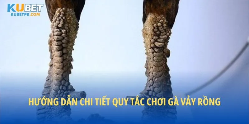 Hướng dẫn chi tiết quy tắc chơi gà vảy rồng