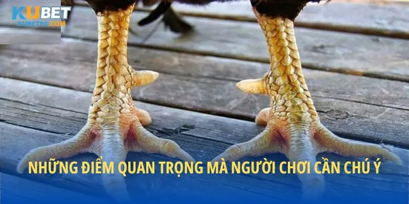 Những điểm quan trọng mà người chơi cần để ý