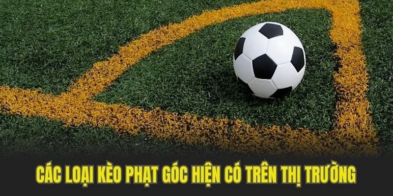 Các loại kèo cược phạt góc cơ bản