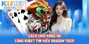 Cách Chơi Rồng Hổ - Cùng Kubet Tìm Hiểu Dragon Tiger