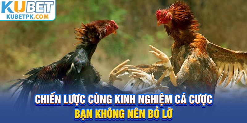 Chiến lược cùng kinh nghiệm cá cược bạn không nên bỏ lỡ