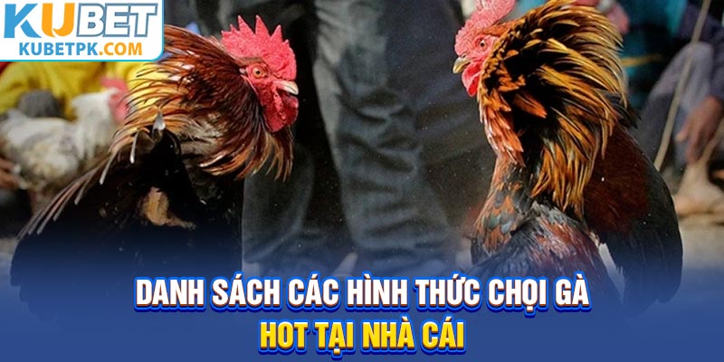 Danh sách các hình thức chọi gà hot tại nhà cái