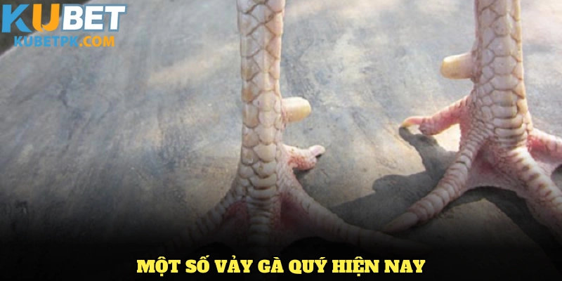Một số cách nhận biết vảy gà Huyền Trâm cơ bản
